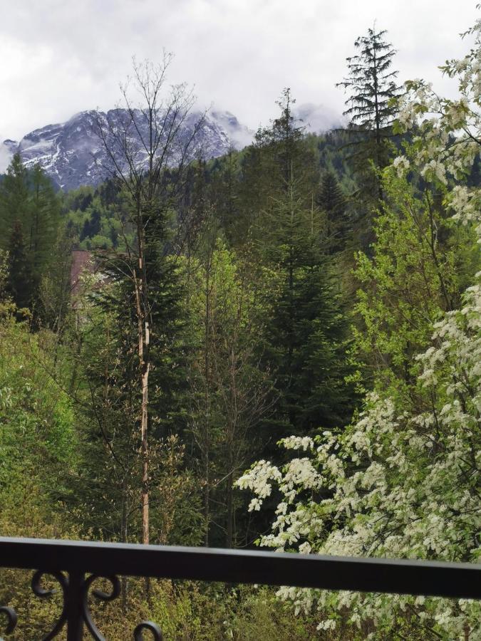 Apartamenty Villa Ski-Bowki Zakopane Exterior foto
